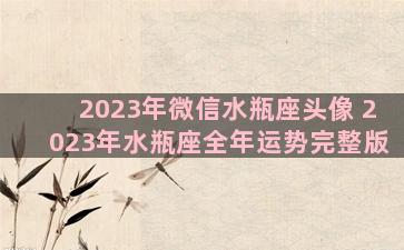 2023年微信水瓶座头像 2023年水瓶座全年运势完整版